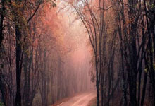 弗里克：这三分的代价很大；在我看来目前佩德里就是世界最佳.