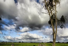 九游：中超3轮过后，四队领跑积分榜！国安蓉城暂时掉队.