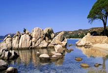 九游:16岁成日本女乒新一姐❗️张本美和WTT金奈站夺冠,将升世界第5.